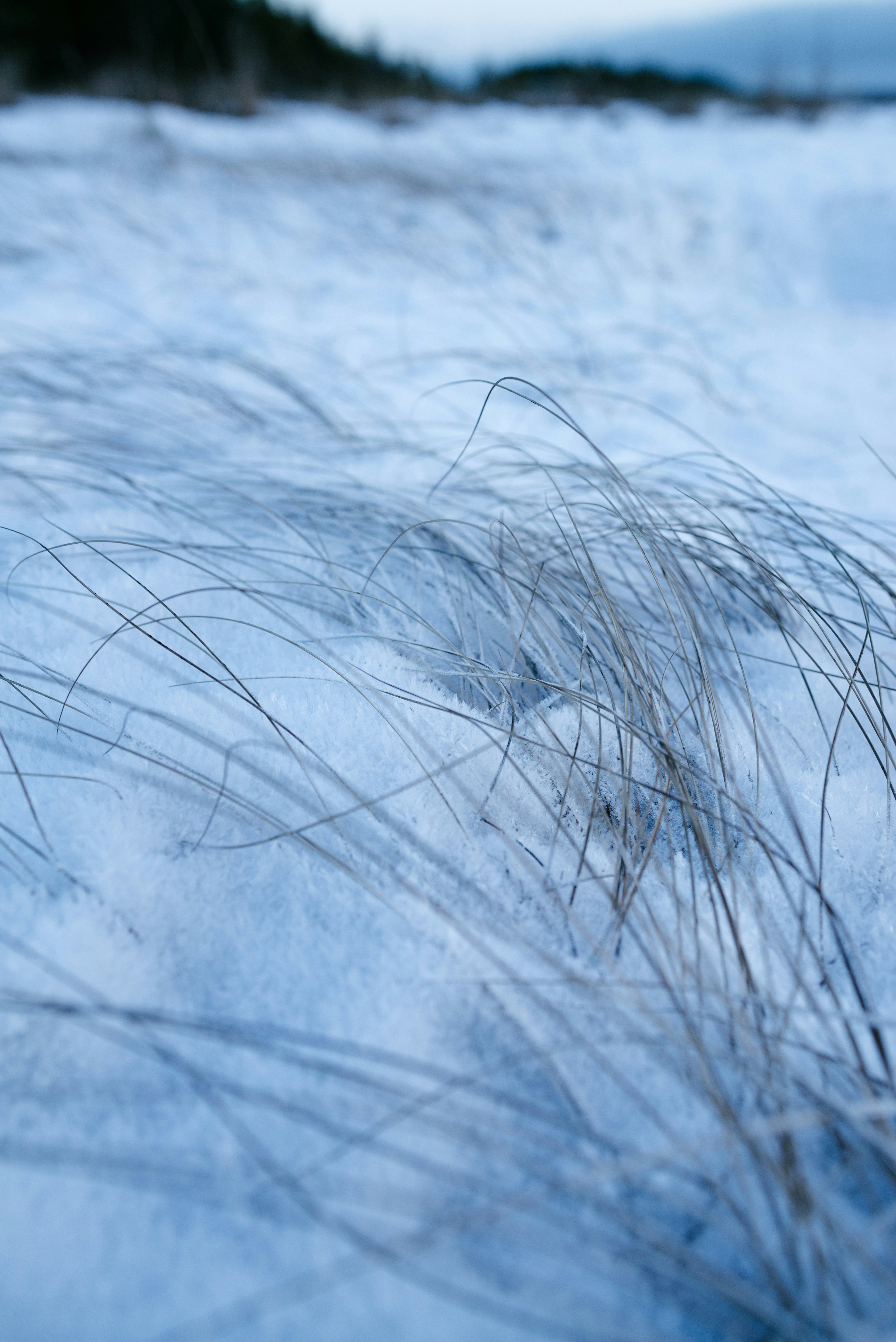 半日でベタつく根元に：脂性頭皮を整える洗い方のコツ
